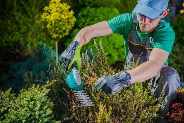 landscaping services Hermitage